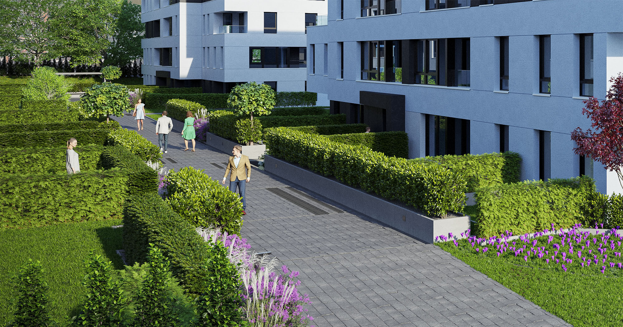 Mapa osiedla Crocus Hill